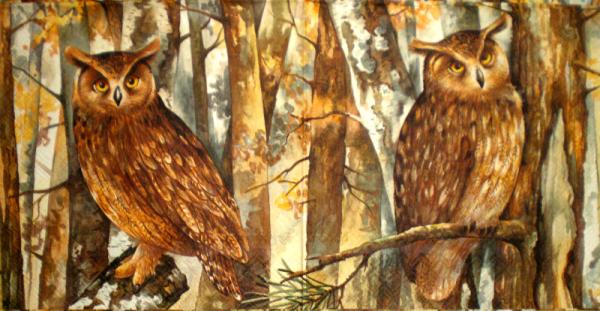 013 Eulen - 3-lagig - Ihr